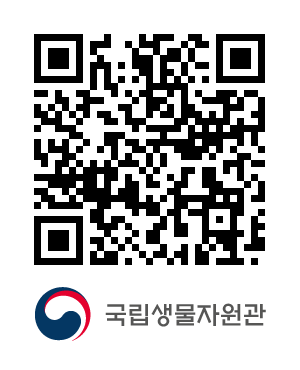 QR코드