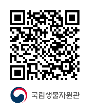 QR코드