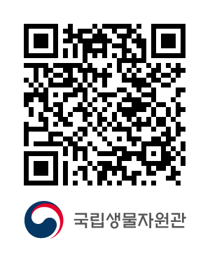 QR코드