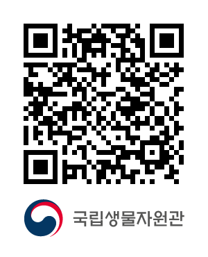 QR코드