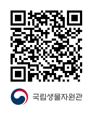 QR코드