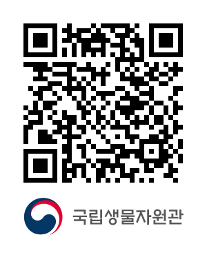 QR코드