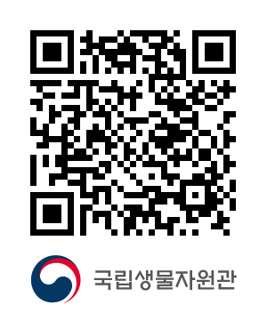 QR코드
