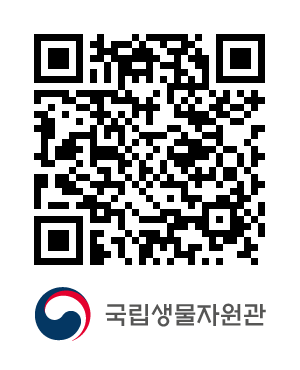 QR코드
