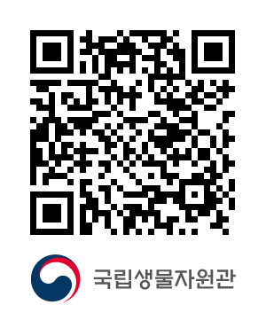 QR코드