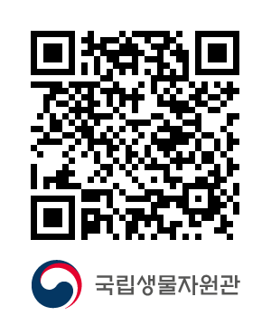 QR코드