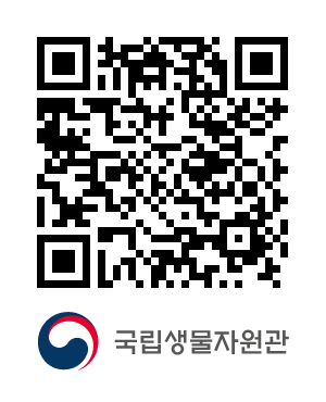 QR코드