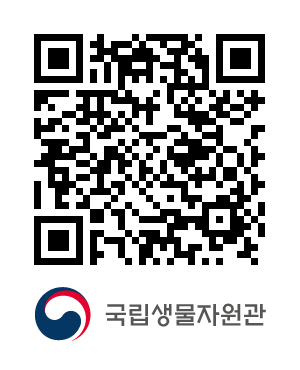 QR코드