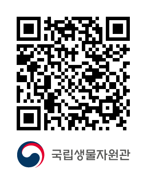 QR코드
