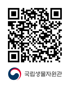 QR코드