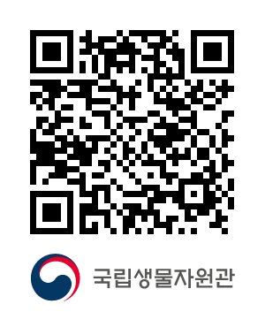 QR코드
