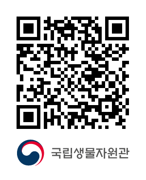 QR코드