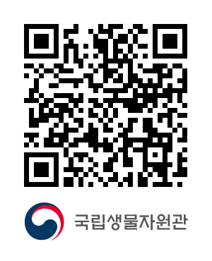 QR코드