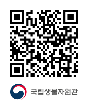 QR코드