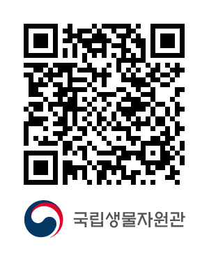 QR코드