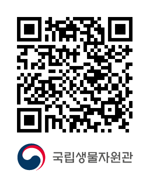 QR코드