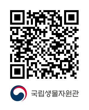 QR코드