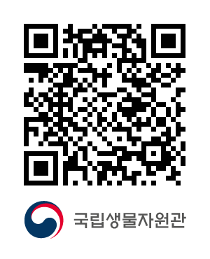 QR코드