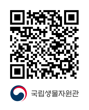 QR코드