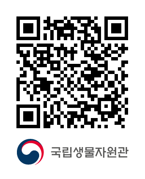 QR코드