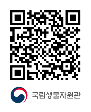 QR코드