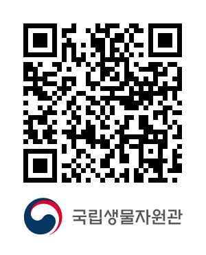QR코드