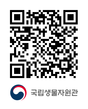 QR코드