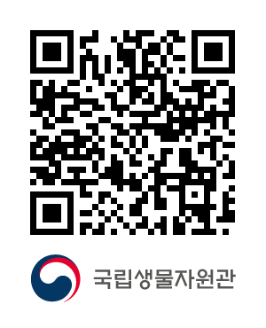 QR코드