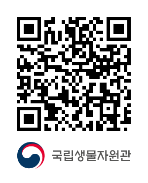 QR코드