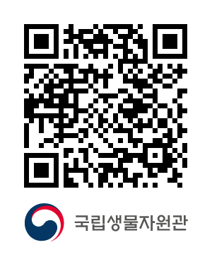 QR코드