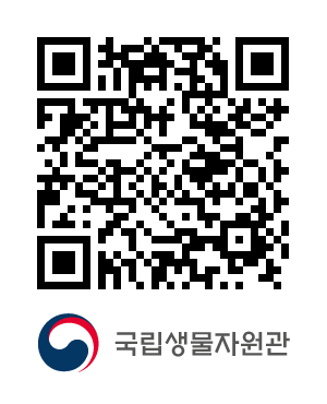 QR코드