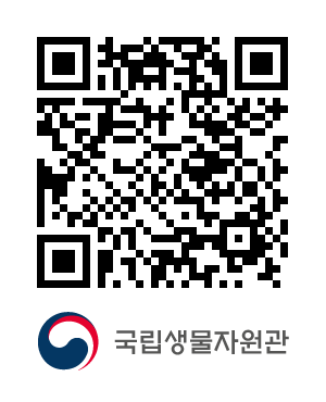 QR코드