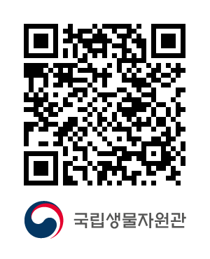 QR코드