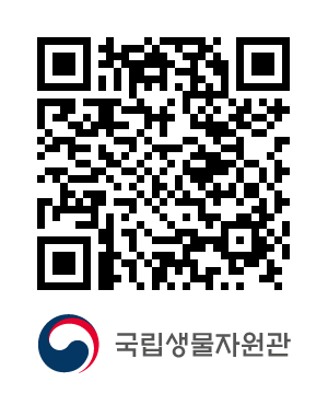 QR코드