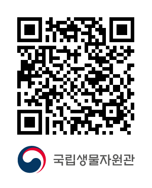 QR코드
