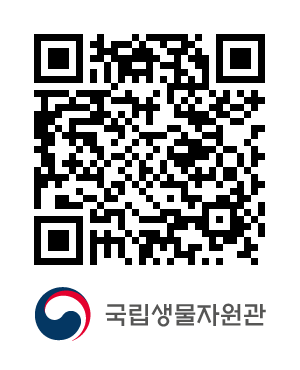 QR코드