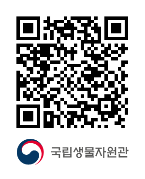 QR코드