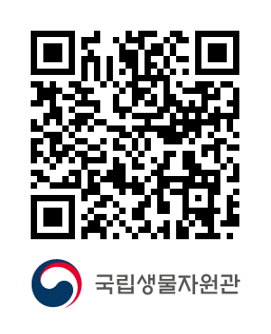 QR코드