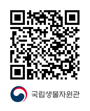 QR코드
