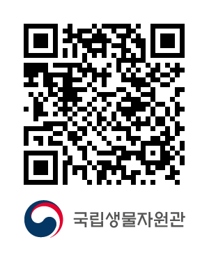 QR코드