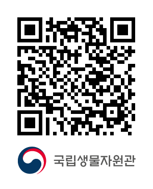 QR코드