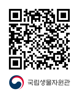 QR코드