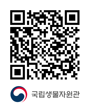 QR코드