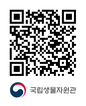 QR코드