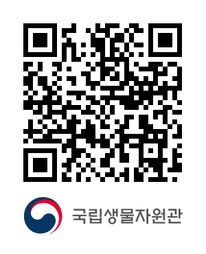 QR코드