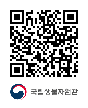 QR코드