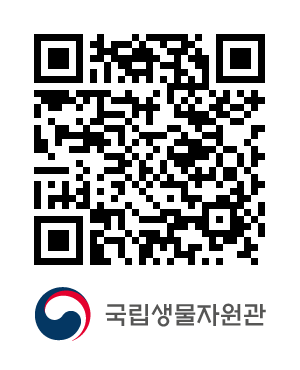 QR코드