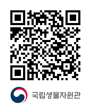 QR코드