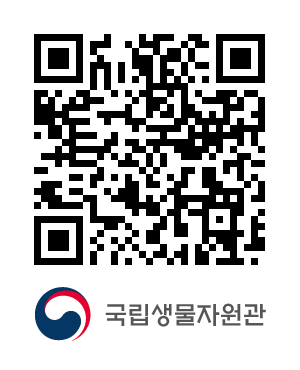 QR코드