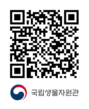 QR코드